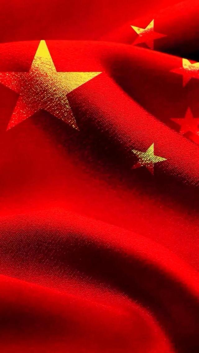 拯救机灵鸟